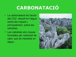 CARBONATACIÓ La carbonatació és l'acció del CO2  dissolt en l'aigua sobre les roques i, principalment, sobre les calcàries. Les calcàries són roques formades per carbonat de calci, que és insoluble en aigua. 