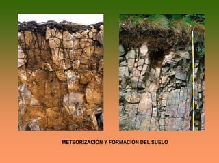 METEORIZACIÓN Y FORMACIÓN DEL SUELO
 
