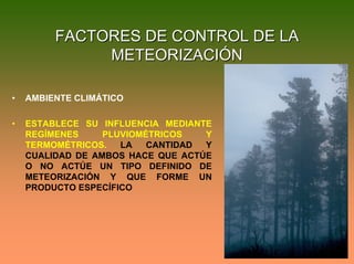 FACTORES DE CONTROL DE LAFACTORES DE CONTROL DE LA
METEORIZACIÓNMETEORIZACIÓN
• AMBIENTE CLIMÁTICO
• ESTABLECE SU INFLUENCIA MEDIANTE
REGÍMENES PLUVIOMÉTRICOS Y
TERMOMÉTRICOS. LA CANTIDAD Y
CUALIDAD DE AMBOS HACE QUE ACTÚE
O NO ACTÚE UN TIPO DEFINIDO DE
METEORIZACIÓN Y QUE FORME UN
PRODUCTO ESPECÍFICO
 
