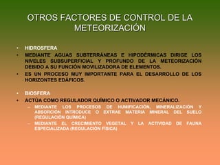 OTROS FACTORES DE CONTROL DE LAOTROS FACTORES DE CONTROL DE LA
METEORIZACIÓNMETEORIZACIÓN
• HIDROSFERA
• MEDIANTE AGUAS SUBTERRÁNEAS E HIPODÉRMICAS DIRIGE LOS
NIVELES SUBSUPERFICIAL Y PROFUNDO DE LA METEORIZACIÓN
DEBIDO A SU FUNCIÓN MOVILIZADORA DE ELEMENTOS.
• ES UN PROCESO MUY IMPORTANTE PARA EL DESARROLLO DE LOS
HORIZONTES EDÁFICOS.
• BIOSFERA
• ACTÚA COMO REGULADOR QUÍMICO O ACTIVADOR MECÁNICO.
– MEDIANTE LOS PROCESOS DE HUMIFICACIÓN, MINERALIZACIÓN Y
ABSORCIÓN INTRODUCE O EXTRAE MATERIA MINERAL DEL SUELO
(REGULACIÓN QUÍMICA)
– MEDIANTE EL CRECIMIENTO VEGETAL Y LA ACTIVIDAD DE FAUNA
ESPECIALIZADA (REGULACIÓN FÍSICA)
 
