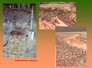FERRICRETAS Y BAUXITA
 