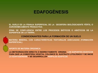 EDAFOGÉNESIS
EL SUELO ES LA FRANJA SUPERFICIAL DE LA GEOSFERA BIOLÓGICAENTE FÉRTIL O
AGRONÓMICAMENTE PRODUCTIVA
ZONA DE CONFLUENCIA ENTRE LOS PROCESOS BIÓTICOS O ABIÓTICOS DE LA
SUPERFICIE DE LA TIERRA.
CONDICIONANTES PARA LA FORMACIÓN DE UN SUELO
MATERIA MINERAL CON CARACTERÍSTICAS TEXTURALES ADECUADAS (FORMACIÓN
SUPERFICIAL)
APORTE DE MATERIA ORGÁNICA.
LA METEORIZACIÓN DIRECTA O INDIRECTAMENTE ORIGINA LOS SOPORTES EDÁFICOS
PARA QUE LA COBERTERA VEGETAL COLONICE EL SUSTRATO LITOLÓGICO Y SE INICIE
LA EDAFOGÉNESIS Y SE DESARROLLEN PERFILES EDÁFICOS
 