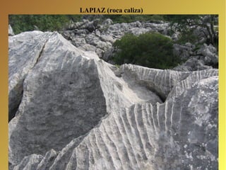 LAPIAZ (roca caliza) 
 