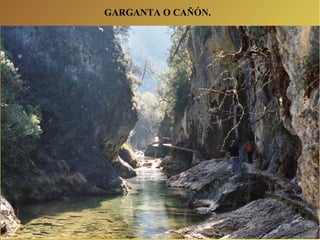 GARGANTA O CAÑÓN. 
 