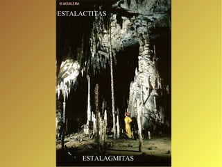 ESTALACTITAS 
ESTALAGMITAS 
 
