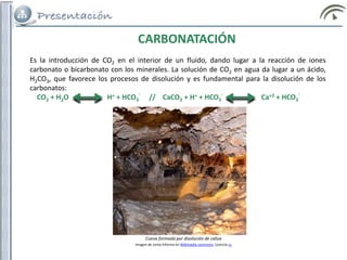 Es la introducción de CO2 en el interior de un fluido, dando lugar a la reacción de iones
carbonato o bicarbonato con los minerales. La solución de CO2 en agua da lugar a un ácido,
H2CO3, que favorece los procesos de disolución y es fundamental para la disolución de los
carbonatos:
CO2 + H2O H+ + HCO3
-
// CaCO3 + H+ + HCO3
-
Ca+2 + HCO3
-
CARBONATACIÓN
Cueva formada por disolución de caliza
Imagen de Junta Informa en Wikimedia commons. Licencia cc
 