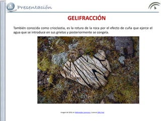 GELIFRACCIÓN
También conocida como crioclastia, es la rotura de la roca por el efecto de cuña que ejerce el
agua que se introduce en sus grietas y posteriormente se congela.
Imagen de GFDL en Wikimedia commons. Licencia GNU free
 