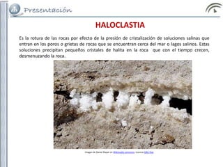 Es la rotura de las rocas por efecto de la presión de cristalización de soluciones salinas que
entran en los poros o grietas de rocas que se encuentran cerca del mar o lagos salinos. Estas
soluciones precipitan pequeños cristales de halita en la roca que con el tiempo crecen,
desmenuzando la roca.
HALOCLASTIA
Imagen de Daniel Mayer en Wikimedia commons. Licencia GNU free
 