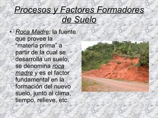 Procesos y Factores Formadores de Suelo Roca Madre : la fuente que provee la “materia prima” a partir de la cual se desarrolla un suelo, se denomina  roca madre  y es el factor fundamental en la formación del nuevo suelo, junto al clima, tiempo, relieve, etc. 
