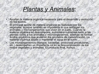 Plantas y Animales : Aportan la materia orgánica necesaria para el desarrollo y evolución de los suelos.  El principal aporte de materia orgánica es realizado por los vegetales, aunque también es importante lo que entregan los animales y microorganismos que viven en el suelo. Cuando la materia orgánica se descompone, suministra nutrientes tanto a las plantas como a los animales y microorganismos, además de formar ácidos orgánicos que aceleran los procesos de meteorización. La materia orgánica ayuda a mantener el agua en el suelo. Los microorganismos (hongos, bacterias, protozoos unicelulares, etc.) desempeñan un importante rol en la descomposición de los restos vegetales y animales. El producto final,  humus .  