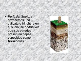 Perfil del Suelo : si cavásemos una calicata o trinchera en el suelo, se podría ver que sus paredes presentan capas. conocidas como  horizontes   