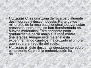 Horizonte C : es una zona de roca parcialmente desintegrada y descompuesta. Parte de los minerales de la roca basal original todavía están presentes, pero otros se han transformado en nuevos materiales. Este horizonte pasa gradualmente hacia abajo a la roca madre (inalterada). Aunque este material está experimentando cambios, ha cruzado el umbral que separa al regolito del suelo. Horizonte B : éste descansa directamente sobre el horizonte C; en él la meteorización ha actuado. 