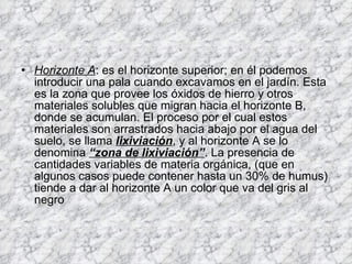 Horizonte A : es el horizonte superior; en él podemos introducir una pala cuando excavamos en el jardín. Esta es la zona que provee los óxidos de hierro y otros materiales solubles que migran hacia el horizonte B, donde se acumulan. El proceso por el cual estos materiales son arrastrados hacia abajo por el agua del suelo, se llama  lixiviación , y al horizonte A se lo denomina  “zona de lixiviación” . La presencia de cantidades variables de materia orgánica, (que en algunos casos puede contener hasta un 30% de humus) tiende a dar al horizonte A un color que va del gris al negro  