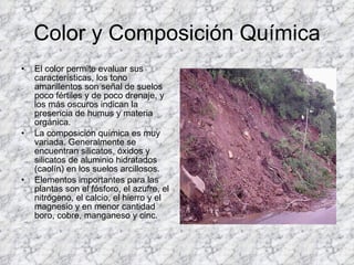 Color y Composición Química El color permite evaluar sus características, los tono amarillentos son señal de suelos poco fértiles y de poco drenaje, y los más oscuros indican la presencia de humus y materia orgánica. La composición química es muy variada. Generalmente se encuentran silicatos, óxidos y silicatos de aluminio hidratados (caolín) en los suelos arcillosos. Elementos importantes para las plantas son el fósforo, el azufre, el nitrógeno, el calcio, el hierro y el magnesio y en menor cantidad boro, cobre, manganeso y cinc.  