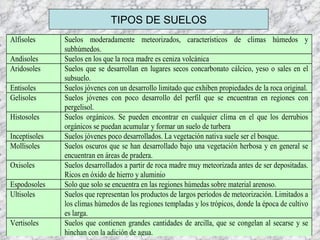 TIPOS DE SUELOS 