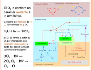 El O2 le confiere un
carácter oxidante a
la atmósfera.
Se formó por fotólisis de H
2O, formándose H2 y O2:
H2O + hν → 1/2O2.
El O3 se formó a partir de
O2 por interacción con
radiación ultravioleta, y
parte del ozono formado
vuelve a dar oxígeno:
3O2 + hν →
2O3 O3 + hν' →
O2 + O
 