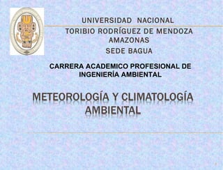 UNIVERSIDAD NACIONAL
TORIBIO RODRÍGUEZ DE MENDOZA
AMAZONAS
SEDE BAGUA
1
CARRERA ACADEMICO PROFESIONAL DE
INGENIERÍA AMBIENTAL
 