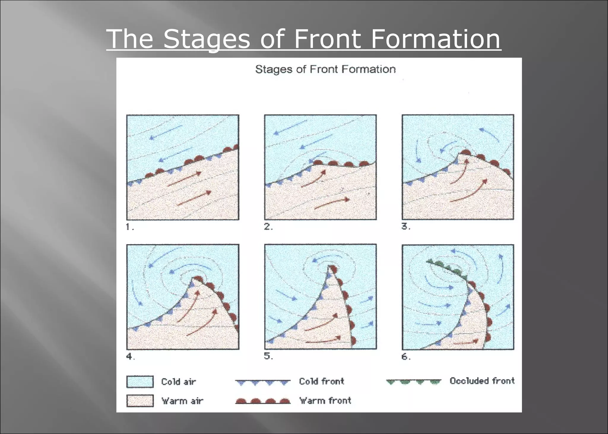The Stages of Front Formation

 