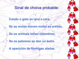 Cando o gato se lava a cara. Se as mulas moven moito as orellas. Se os animais teñen calambres. Se os palomos se dan un baño. A aparición de formigas aladas. Sinal de choiva probable: 
