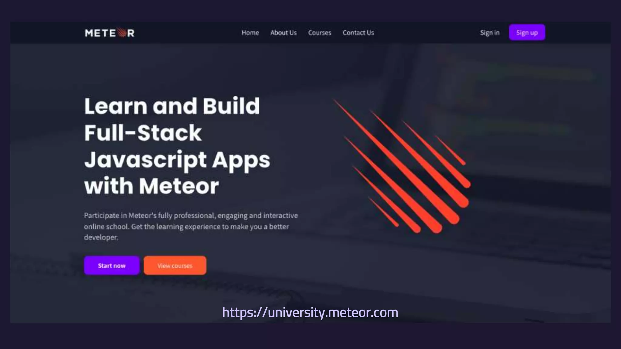 https://university.meteor.com 