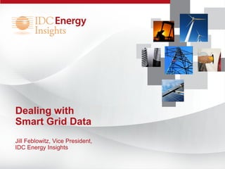 Meter Data Management Presentation | PDF