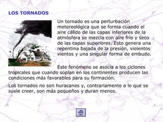 LOS TORNADOS
                    Un tornado es una perturbación
                    metereológica que se forma cuando el
 ...