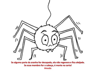 Se alguma parte da aranha for decepada, ela não regenera e fica aleijada.
            Se esse membro for a cabeça, é morte na certa!
                                #medo
 