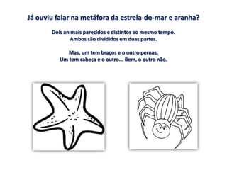 Já ouviu falar na metáfora da estrela-do-mar e aranha?
       Dois animais parecidos e distintos ao mesmo tempo.
               Ambos são divididos em duas partes.

             Mas, um tem braços e o outro pernas.
          Um tem cabeça e o outro... Bem, o outro não.
 