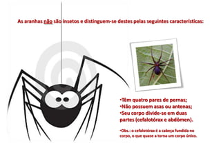 As aranhas não são insetos e distinguem-se destes pelas seguintes características:




                                             •Têm quatro pares de pernas;
                                             •Não possuem asas ou antenas;
                                             •Seu corpo divide-se em duas
                                             partes (cefalotórax e abdômen).
                                             •Obs.: o cefalotórax é a cabeça fundida no
                                             corpo, o que quase a torna um corpo único.
 