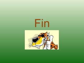 Fin 