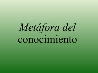 Metáfora del  conocimiento 