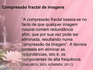 Compressão fractal de imagens

         “A compressão fractal baseia-se no
         facto de que qualquer imagem
         natural contém redundância
         afim, que por sua vez pode ser
         eliminada, resultando numa
         compressão da imagem”. A técnica
         consiste em eliminar as
         redundâncias, isto é, os
         componentes de alta frequência
         (GALABOV, 2003; KOMINEK, 2011).
 