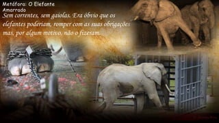 Metáfora: O Elefante
Amarrado
Sem correntes, sem gaiolas. Era óbvio que os
elefantes poderiam, romper com as suas obrigações
mas, por algum motivo, não o fizeram.
 