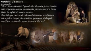 Metafora: O Elefante
Amarrado
" Bem", disse o domador, " quando eles são muito jovens e muito
mais pequenos usamos a mesma corda para os amarrar e, Nessa
idade, é o suficiente para os manter.
À medida que crescem, eles são condicionados a acreditar que
não a podem romper, eles acreditam que acorda ainda pode
mantê-los, por isso eles nunca tentam se libertar."
 