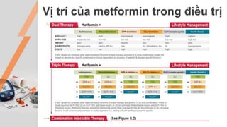 Vị trí của metformin trong điều trị
 