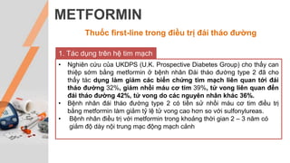METFORMIN
Thuốc first-line trong điều trị đái tháo đường
1. Tác dụng trên hệ tim mạch
• Nghiên cứu của UKDPS (U.K. Prospective Diabetes Group) cho thấy can
thiệp sớm bằng metformin ở bệnh nhân Đái tháo đường type 2 đã cho
thấy tác dụng làm giảm các biến chứng tim mạch liên quan tới đái
tháo đường 32%, giảm nhồi máu cơ tim 39%, tử vong liên quan đến
đái tháo đường 42%, tử vong do các nguyên nhân khác 36%.
• Bệnh nhân đái tháo đường type 2 có tiền sử nhồi máu cơ tim điều trị
bằng metformin làm giảm tỷ lệ tử vong cao hơn so với sulfonylureas.
• Bệnh nhân điều trị với metformin trong khoảng thời gian 2 – 3 năm có
giảm độ dày nội trung mạc động mạch cảnh
 