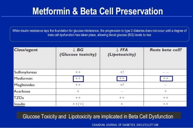 metformin beta preservation insulin