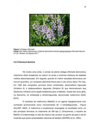 18




Figura 1:Galega officinalis
Fonte:http://www.robertorossi.ro/plante-decorative-exterior/galega/galega-officinalis-lilaroze-
21122 .Acesso: 22.Agosto,2011.



3.2.2 Estrutura Química




           Há muitos anos atrás, o extrato da planta Galega officinalis demonstrou
importante efeito terapêutico ao reduzir os sinais e sintomas clássicos de diabetes
mellitus descompensado. Em seguida, quando foi melhor estudada demonstrou ser
rica em guanidina, um composto altamente tóxico para o uso clínico diário. Por isso,
em 1920 dois compostos químicos foram sintetizados, decametilene biguanida
(Sintalina A) e dodecametilene biguanida (Sintalina B) que demonstraram boa
tolerância e eficácia como opção terapêutica para o diabetes. Quase dez anos após,
na Alemanha, foi sintetizada a dimetil-biguanida, denominada metformina (GIJS,
2010).
           O cloridrato de metformina (MetHCl) é um agente hipoglicemiante oral,
conhecido quimicamente como monocloridrato de 1,1-dimetilbiguanida,                    (Figura
03)(USP, 2005). A metformina é amplamente empregada na atualidade como um
dos principais fármacos no tratamento do DM tipo 2. Clinicamente, a escolha do
MetHCl é fundamentada no fato da mesma não conduzir ao ganho de peso e de ter
mostrado que possui propriedades redutoras de lipídeos (ADIKWU et al., 2004).
 