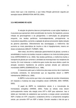 21



vezes maior que o da creatinina), o que indica filtração glomerular seguida por
secreção tubular (BRANCHTEIN; MATOS, 2004).




3.2.4 MECANISMO DE AÇÃO




            A redução da glicemia deve-se principalmente a suas ações hepáticas e
musculares que apresentam efeito sensibilizador da insulina. No hepatócito, provoca
inibição da gliconeogênese e da glicogenólise, e estimulação da glicogênese
enquanto,    nos   tecidos   periféricos    insulinodependentes,   principalmente   na
musculatura esquelética, aumenta a captação de glicose provocando rápida redução
da glicemia plasmática. Diferentemente dos secretagogos, a metformina não
aumenta os níveis plasmáticos de insulina e não é hipoglicemiante, mesmo em
doses consideráveis (BAILEY; TURNER, 1996).
            Além disso, ela diminui aabsorção gastrointestinal de glicose, aumenta a
sensibilidade à insulina nos tecidos muscular e adiposo e os níveis de ácidos graxos
livres (KIRPICHNIKOV et al., 2002). Nos tecidos periféricos, a metformina facilita o
transporte de glicose por aumentar a atividade da tirosinaquinase nos receptores de
insulina. Em nível molecular, a metformina gera muitos dos seus efeitos a partir da
ativação (excetono hipotálamo) da proteína quinase ativada por adenosina
monofosfato (AMPK) (DOMINGUEZ et al., 1996).
            O mecanismo pelo qual a metformina ativa essa enzima não é totalmente
conhecido; entretanto, foi demonstrado que as biguanidas ativam a AMPK
indiretamente (OWEN et al., 2000).
            A AMPK é uma enzima que induz uma cascata de eventos intracelulares
em resposta a mudança da carga energética celular (CARLING, 2004; HARDIE,
2003).
            O papel da AMPK no metabolismo celular é a manutenção da
homeostasia     energética   (HARDIE,      2003).   Todas as   células vivas   devem
continuadamente manter alta relação entre ATP e ADP para sobreviver. Isso é
obtido por intermédio do catabolismo que aumenta a energia celular convertendo
ADP e fosfato em ATP, enquanto o anabolismo diminui o componente energético
celular, por converter ATP em ADP e fosfato. Convém ressaltar o fato de que a
 
