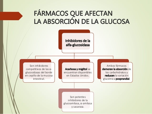 hipoglucemiantes hipoglucemiantes