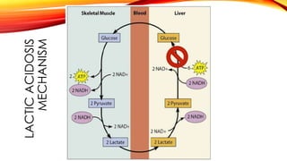 LACTIC ACIDOSIS
MECHANISM

 