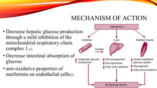 MECHANISM OF ACTION
• Decrease hepatic glucose production
through a mild inhibition of the
mitochondrial respiratory-chain
complex 1.[2]
• Decrease intestinal absorption of
glucose
• anti-oxidative properties of
metformin on endothelial cells[2]

 
