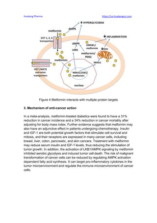 Huateng Pharma https://us.huatengsci.com
Figure 4 Metformin interacts with multiple protein targets
3. Mechanism of anti-c...