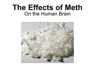The Effects of Meth On the Human Brain 
