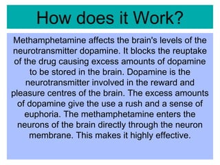 How does it Work? Methamphetamine affects the brain's levels of the neurotransmitter dopamine. It blocks the reuptake of the drug causing excess amounts of dopamine to be stored in the brain. Dopamine is the neurotransmitter involved in the reward and pleasure centres of the brain. The excess amounts of dopamine give the use a rush and a sense of euphoria. The methamphetamine enters the neurons of the brain directly through the neuron membrane. This makes it highly effective. 