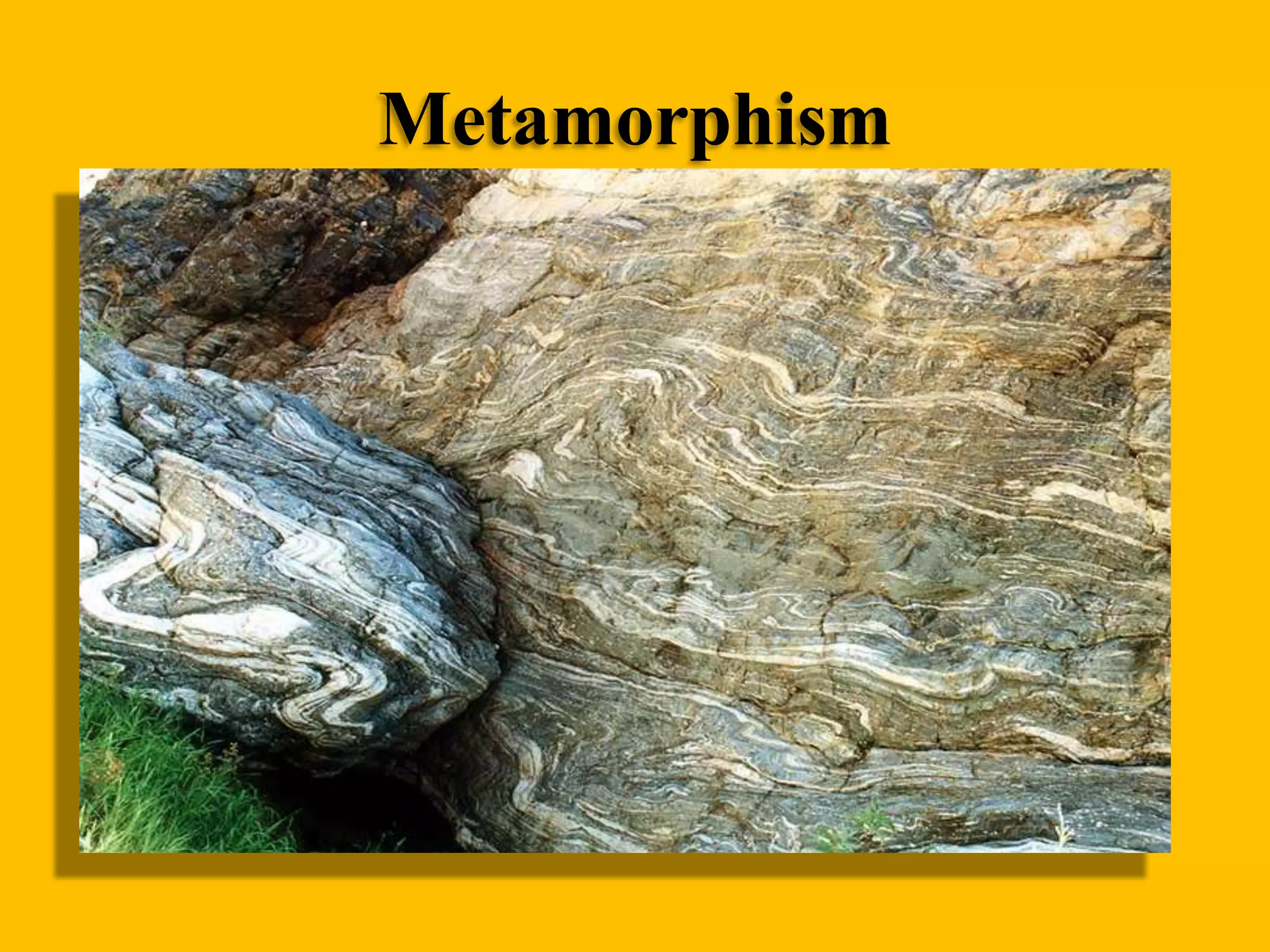 Metamorphism

 