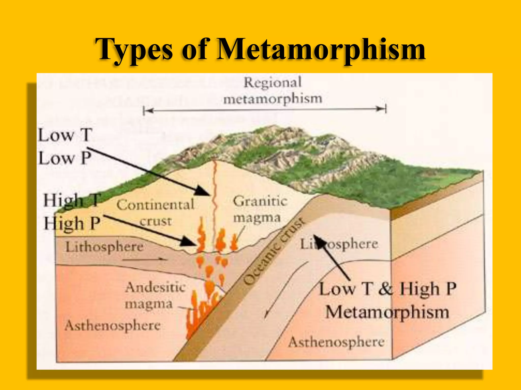 Types of Metamorphism

 