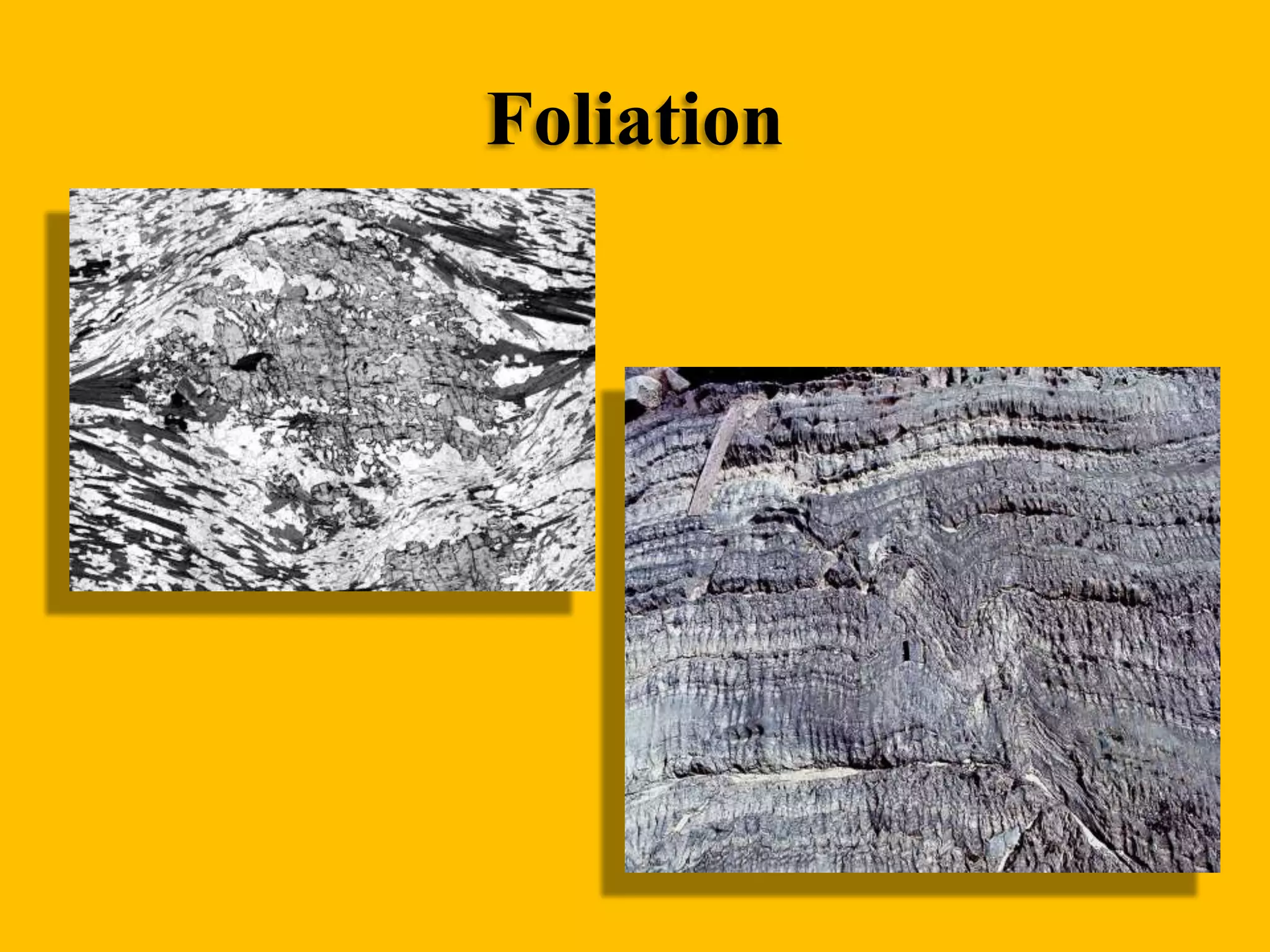 Foliation

 