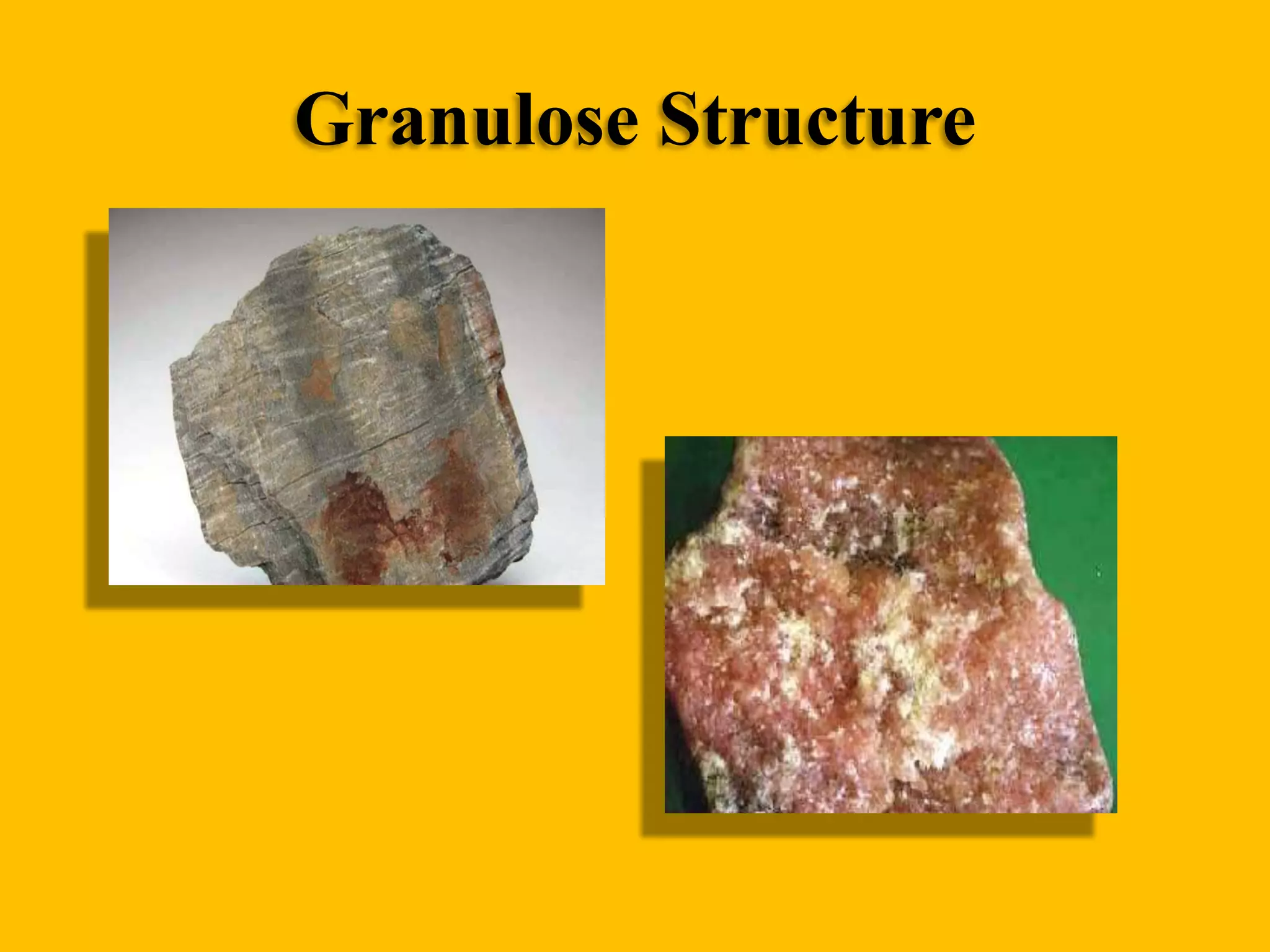 Granulose Structure

 
