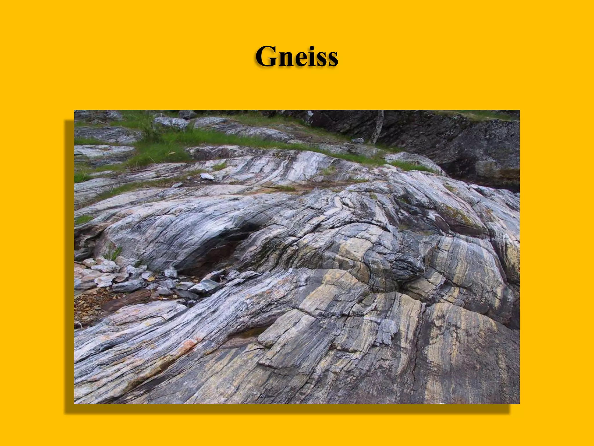 Gneiss

 